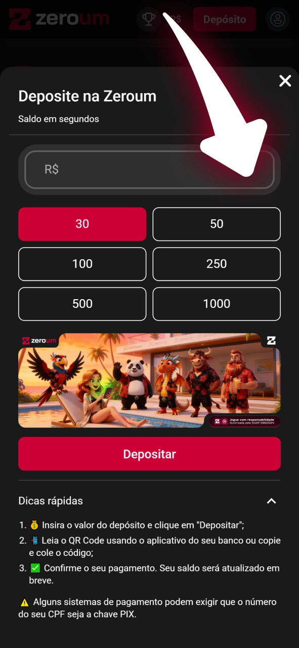 Deposite fundos com segurança no site oficial da Zeroum Brasil.